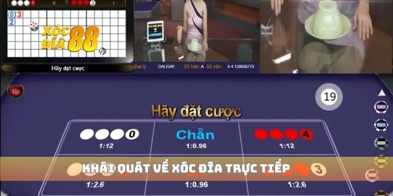 Khái quát về xóc đĩa trực tiếp