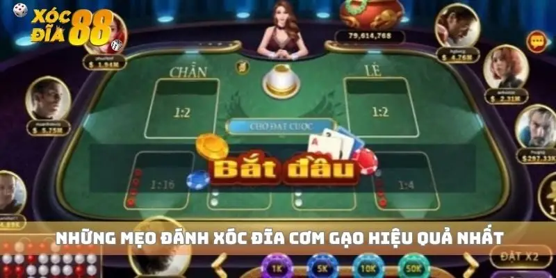 Những mẹo đánh xóc đĩa cơm gạo hiệu quả nhất
